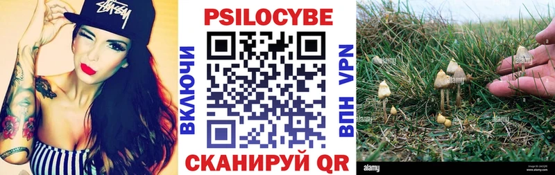 Галлюциногенные грибы Cubensis  Ужур 